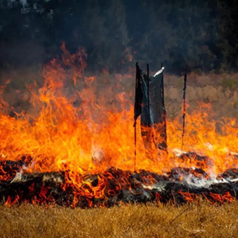 Field Fire